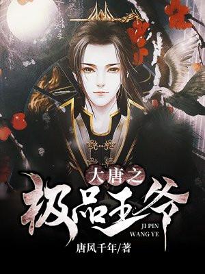 大唐我老婆是武媚娘TXT奇书网
