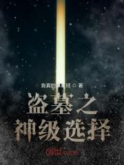 从盗墓开始探险直播 最新章节 无弹窗