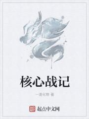 zz核心战机