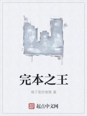 完本之王作者
