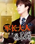 军长大人不好惹