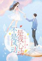 不是风动是我心动什么意思