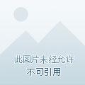 龙王传说之我是主角
