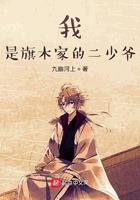 我是旗木家的二少爷漫画